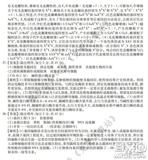 2020年普通高等学校招生全国统一考试高考仿真模拟信息卷押题卷一生物答案