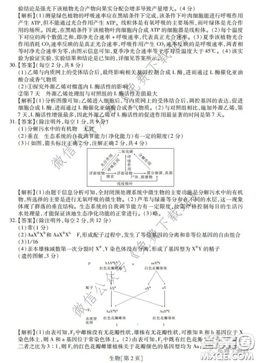 2020年普通高等学校招生全国统一考试高考仿真模拟信息卷押题卷一生物答案 2020年普通高等学校招生全国统一考试高考仿真模拟信息卷押题卷一生物答案