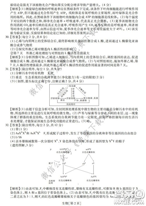 2020年普通高等学校招生全国统一考试高考仿真模拟信息卷押题卷一生物答案