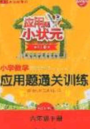 2020应用题小状元小学数学应用题过关训练六年级数学下册人教版答案
