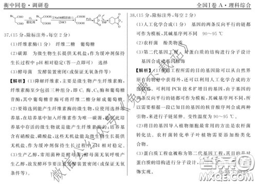 2020届衡中同卷调研卷一理科综合试题答案 2020届衡中同卷调研卷一理科综合试题答案