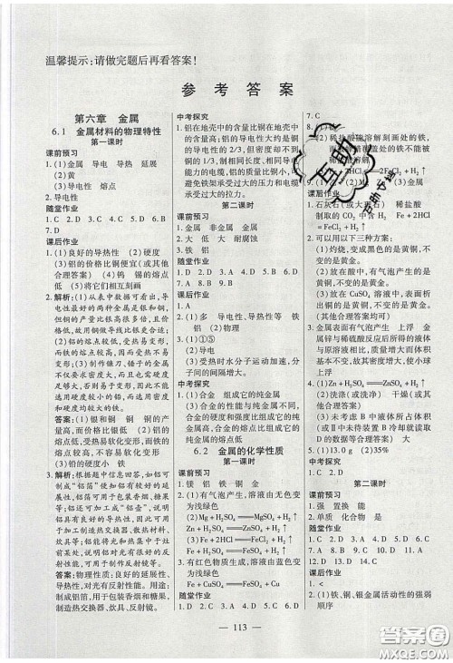 2020自主训练九年级化学下册科粤版答案