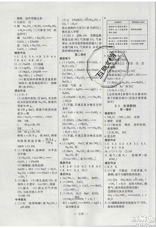 2020自主训练九年级化学下册科粤版答案