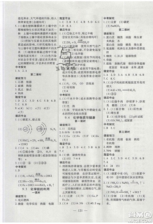 2020自主训练九年级化学下册科粤版答案