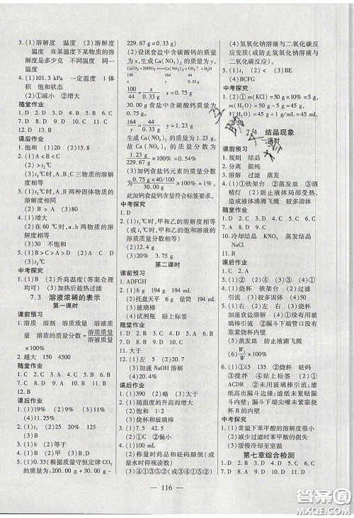 2020自主训练九年级化学下册科粤版答案