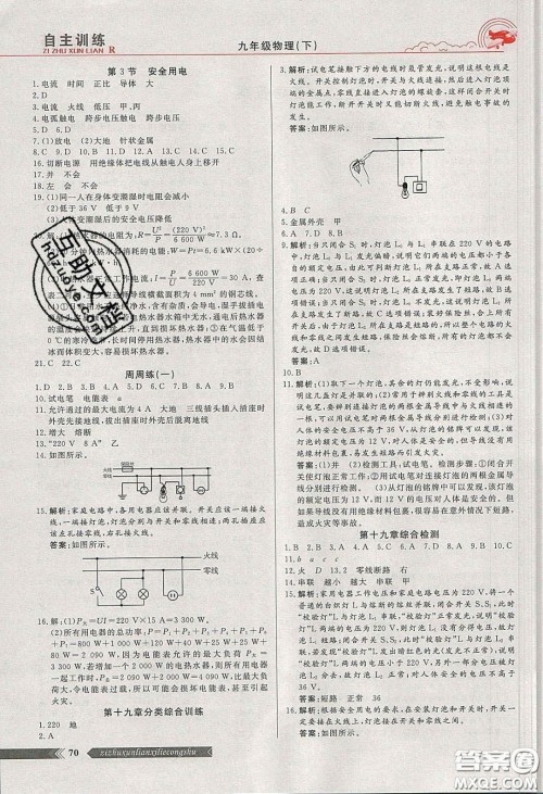 2020自主训练九年级物理下册人教版答案