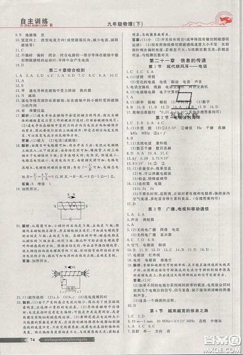 2020自主训练九年级物理下册人教版答案