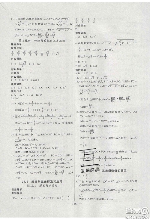 2020自主训练九年级数学下册人教版答案