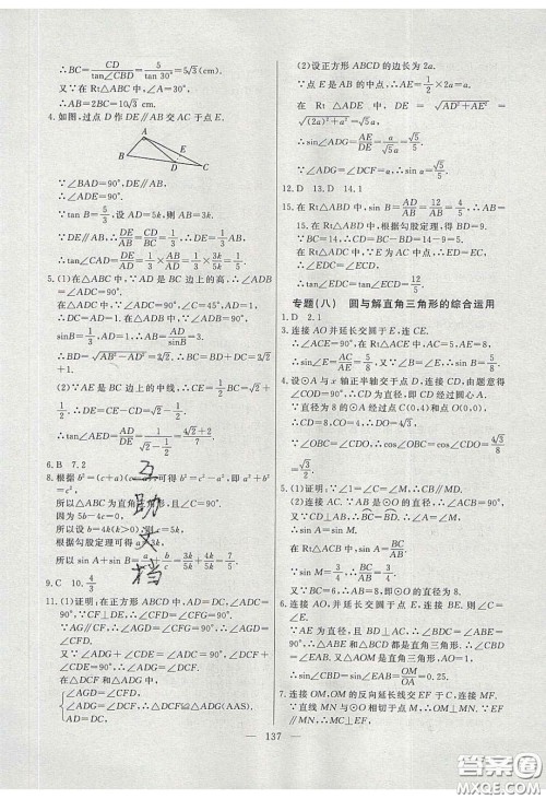 2020自主训练九年级数学下册人教版答案