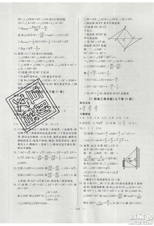 2020自主训练九年级数学下册人教版答案