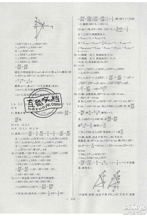 2020自主训练九年级数学下册人教版答案