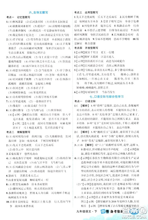 状元成才路2020版状元大课堂中考备考集训九年级语文人教版参考答案