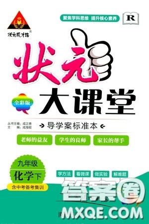 状元成才路2020年状元大课堂导学案标准本九年级下册化学人教版参考答案 状元成才路2020年状元大课堂导学案标准本九年级下册化学人教版参考答案