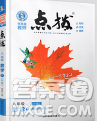 吉林教育出版社2020春特高级教师点拨八年级数学下册湘教版答案