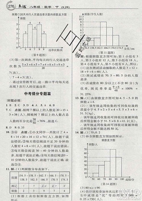 吉林教育出版社2020春特高级教师点拨八年级数学下册湘教版答案