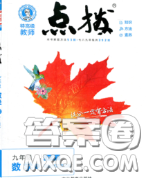 吉林教育出版社2020春特高级教师点拨九年级数学下册青岛版答案