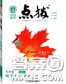 吉林教育出版社2020春特高级教师点拨九年级化学下册人教版答案