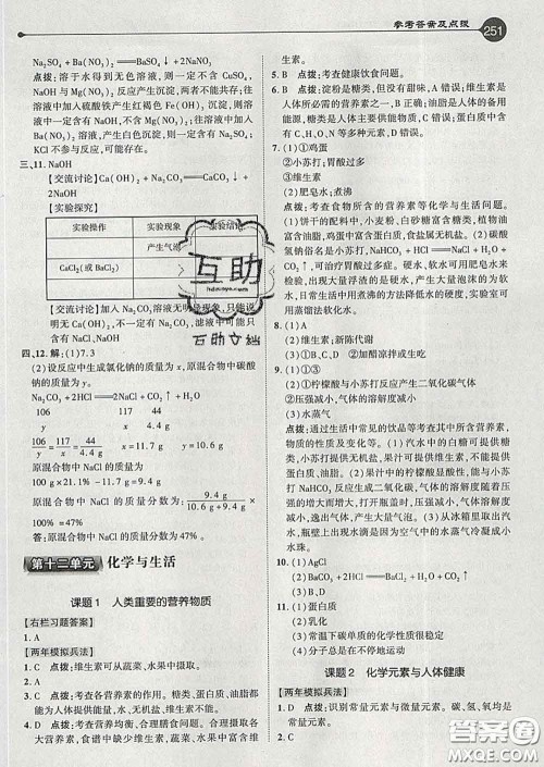 吉林教育出版社2020春特高级教师点拨九年级化学下册人教版答案