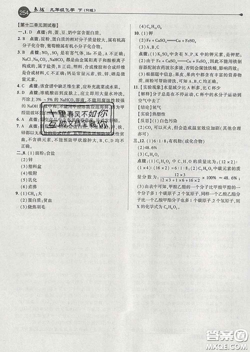 吉林教育出版社2020春特高级教师点拨九年级化学下册人教版答案