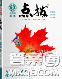 吉林教育出版社2020春特高级教师点拨九年级化学下册鲁教版答案