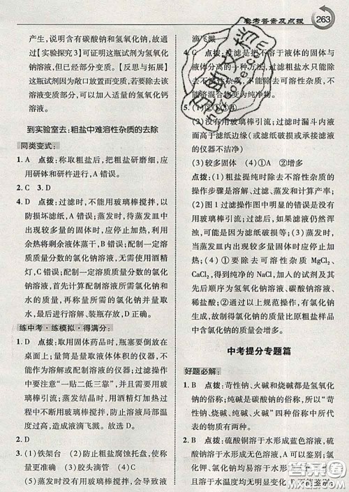 吉林教育出版社2020春特高级教师点拨九年级化学下册鲁教版答案