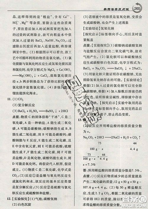 吉林教育出版社2020春特高级教师点拨九年级化学下册鲁教版答案