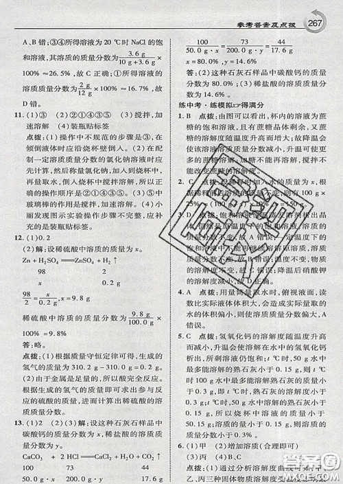 吉林教育出版社2020春特高级教师点拨九年级化学下册科学版答案