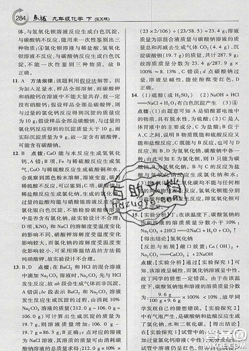 吉林教育出版社2020春特高级教师点拨九年级化学下册科学版答案