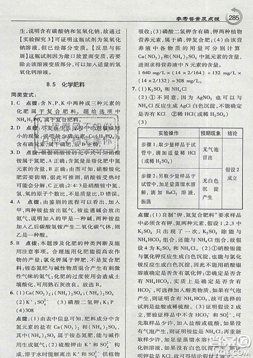 吉林教育出版社2020春特高级教师点拨九年级化学下册科学版答案