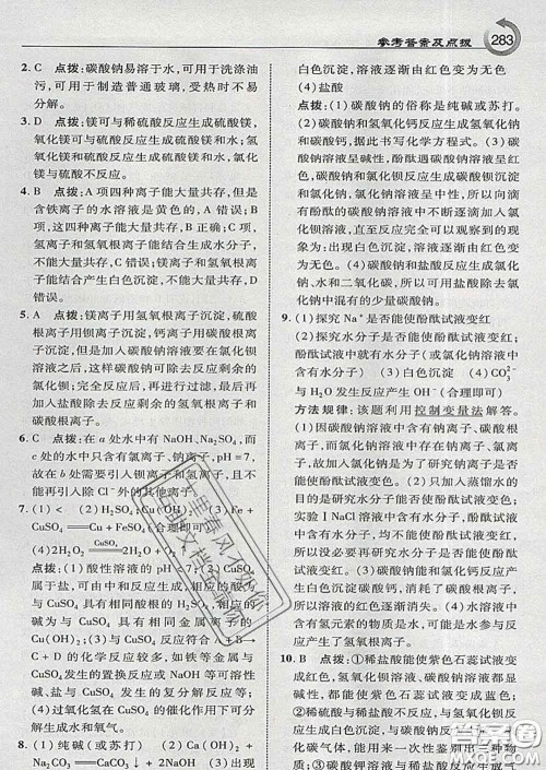 吉林教育出版社2020春特高级教师点拨九年级化学下册科学版答案