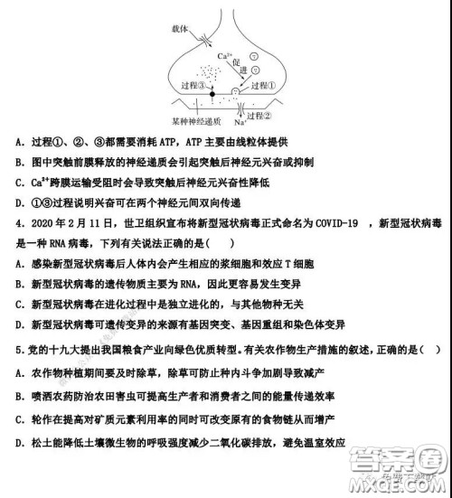 衡水中学2019-2020学年度第二学期高三年级二调考试理科综合试题及答案 衡水中学2019-2020学年度第二学期高三年级二调考试理科综合试题及答案