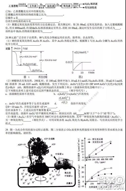 华师大一附中2020届高三2月检测线上理科综合能力测试试题及答案 华师大一附中2020届高三2月检测线上理科综合能力测试试题及答案