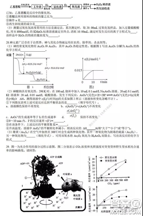 华师大一附中2020届高三2月检测线上理科综合能力测试试题及答案