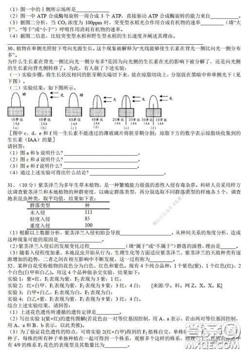 华师大一附中2020届高三2月检测线上理科综合能力测试试题及答案 华师大一附中2020届高三2月检测线上理科综合能力测试试题及答案