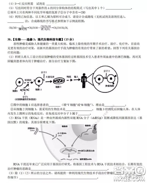 华师大一附中2020届高三2月检测线上理科综合能力测试试题及答案