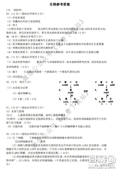 华师大一附中2020届高三2月检测线上理科综合能力测试试题及答案 华师大一附中2020届高三2月检测线上理科综合能力测试试题及答案