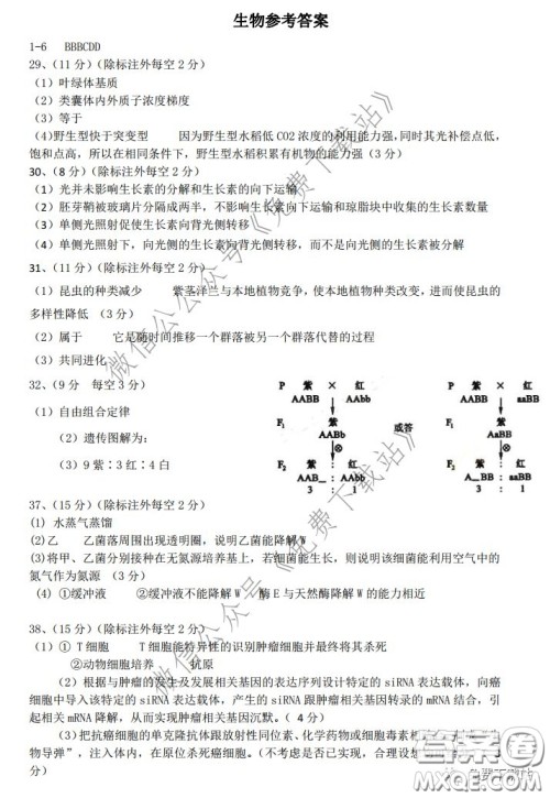 华师大一附中2020届高三2月检测线上理科综合能力测试试题及答案