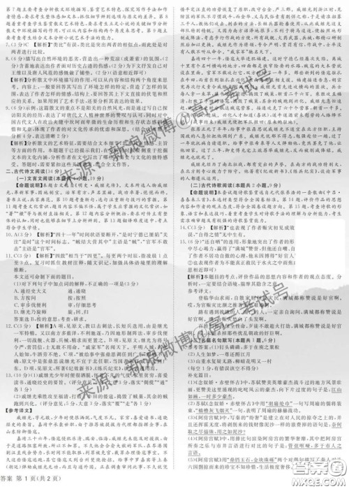 国考1号9高中2020届毕业班知识综合能力提升测试语文答案