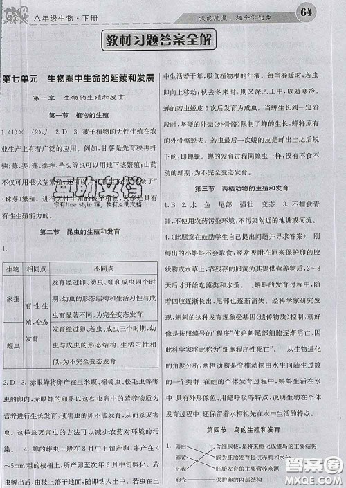 梯田文化2020春课堂点睛八年级生物下册人教版答案
