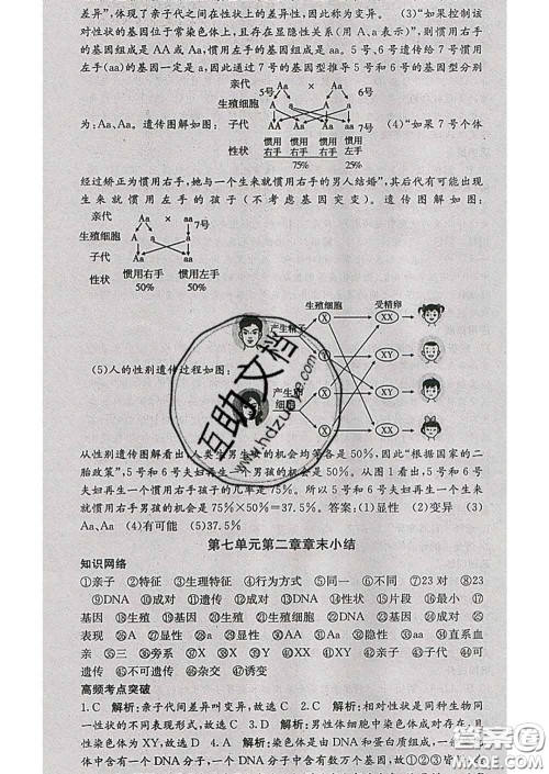 梯田文化2020春课堂点睛八年级生物下册人教版答案
