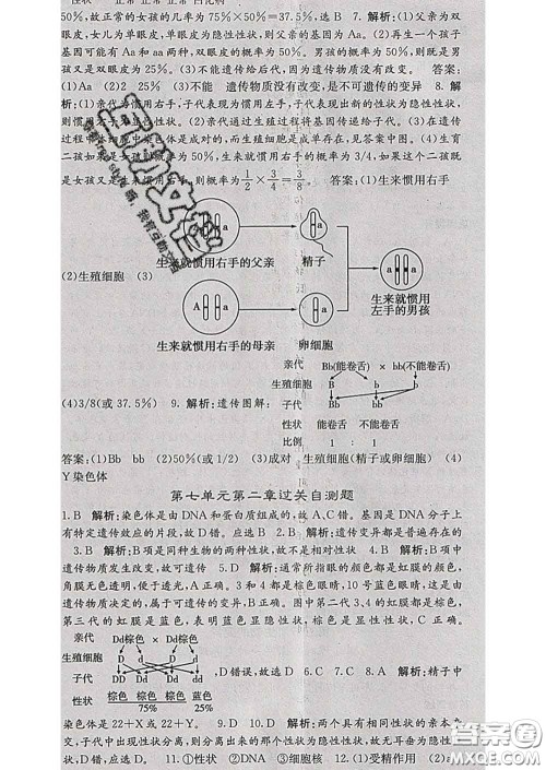 梯田文化2020春课堂点睛八年级生物下册人教版答案