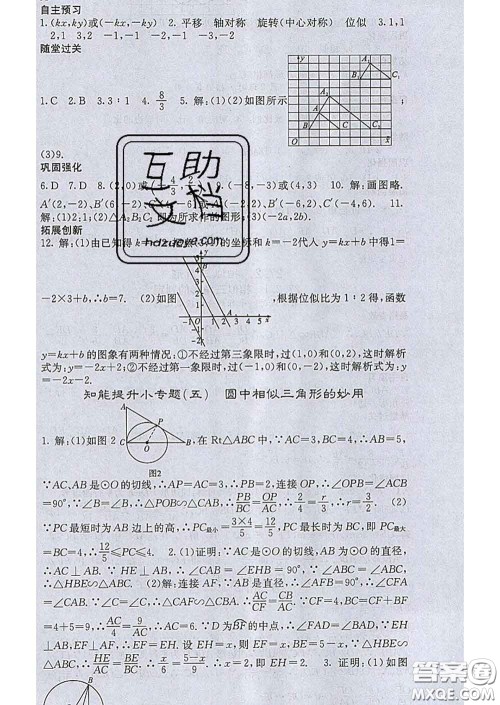 梯田文化2020春课堂点睛九年级数学下册人教版答案