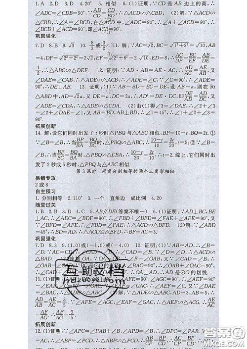梯田文化2020春课堂点睛九年级数学下册人教版答案