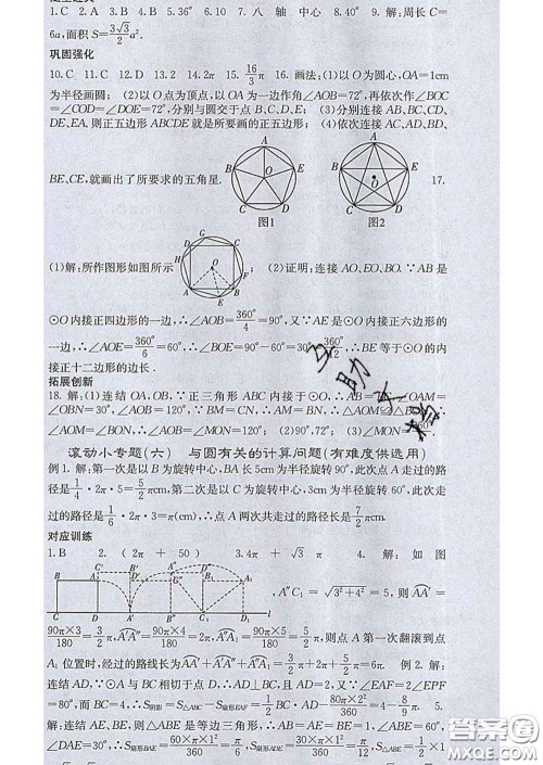 梯田文化2020春课堂点睛九年级数学下册华师大版答案