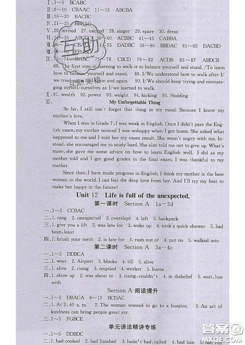 梯田文化2020春课堂点睛九年级英语下册人教版答案