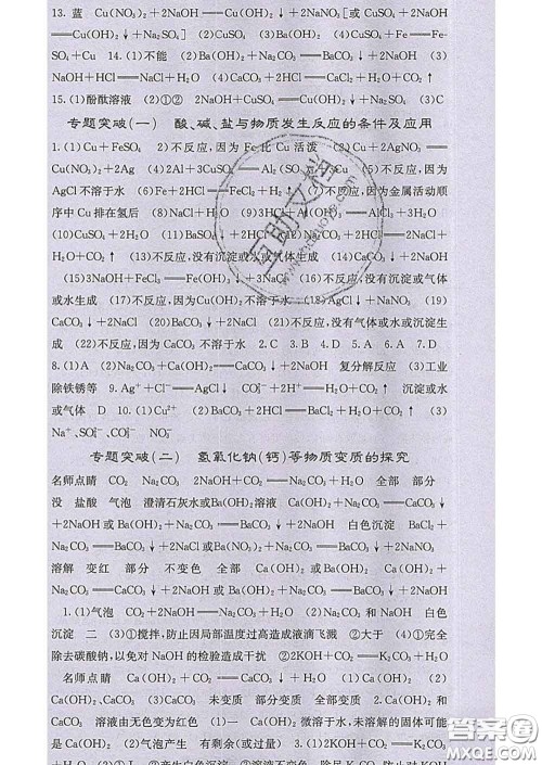 梯田文化2020春课堂点睛九年级化学下册人教版答案