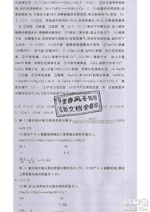 梯田文化2020春课堂点睛九年级化学下册人教版答案