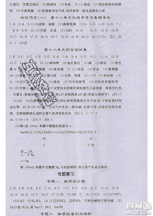 梯田文化2020春课堂点睛九年级化学下册人教版答案