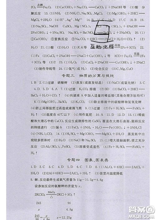 梯田文化2020春课堂点睛九年级化学下册人教版答案