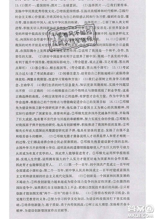 梯田文化2020春课堂点睛九年级政治下册人教版答案